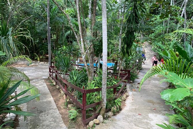 Blue Hole & Dunns River Falls With Lunch From Negril - About Your Stay