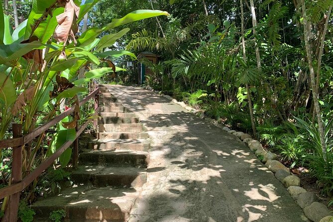 Blue Hole & Dunns River Falls With Lunch From Negril - Visiting Dunns River Falls