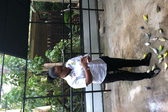Blue Hole & Konoko Falls Transportation Only - About Salisa Tours Jamaica