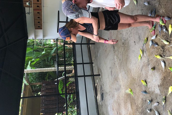 Blue Hole & Konoko Falls Transportation Only - Questions About Your Stay