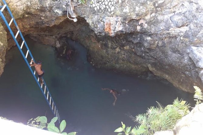 Blue Hole Mineral Spring and Herb Farm Private Tour - Health and Safety