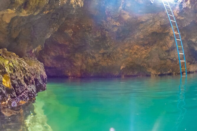 Blue Hole Mineral Spring and Herb Farm Private Tour - What to Bring