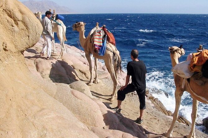 Blue Hole National Park, Canyon By Bus, Camel Ride, BBQ Lunch, - Sharm El Sheikh - Delicious BBQ Lunch Details