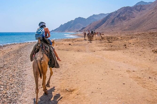 Blue Hole National Park, Canyon By Bus, Camel Ride, BBQ Lunch, - Sharm El Sheikh - Booking Your Stay
