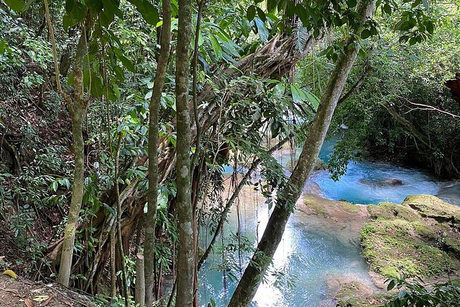 Blue Hole Secret Falls From Montego Bay * {Entry Fee Included } - Tour Overview