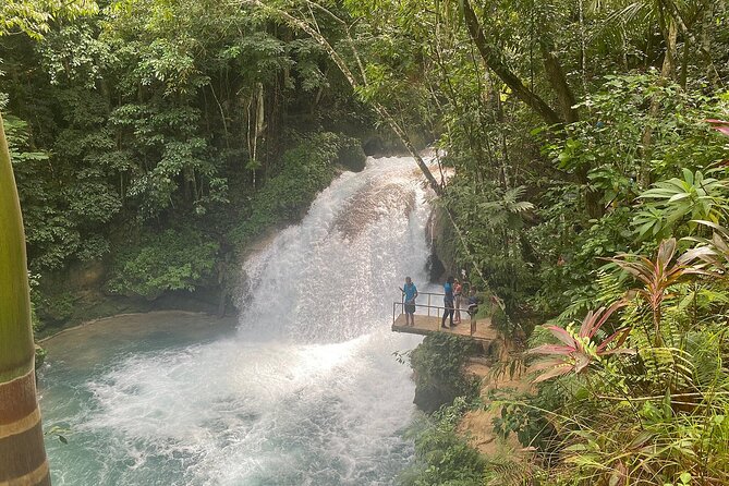 Blue Hole Secret Falls From Montego Bay * {Entry Fee Included } - Health and Safety Guidelines