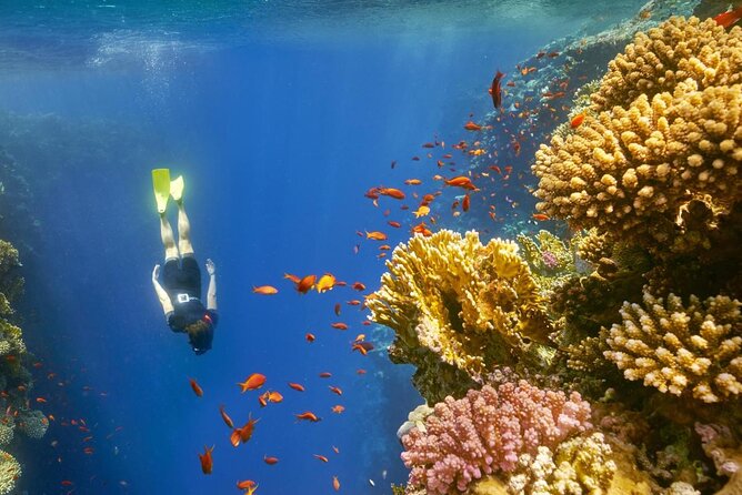 Blue Hole Snorkeling Tour With Lunch From Dahab - Key Points