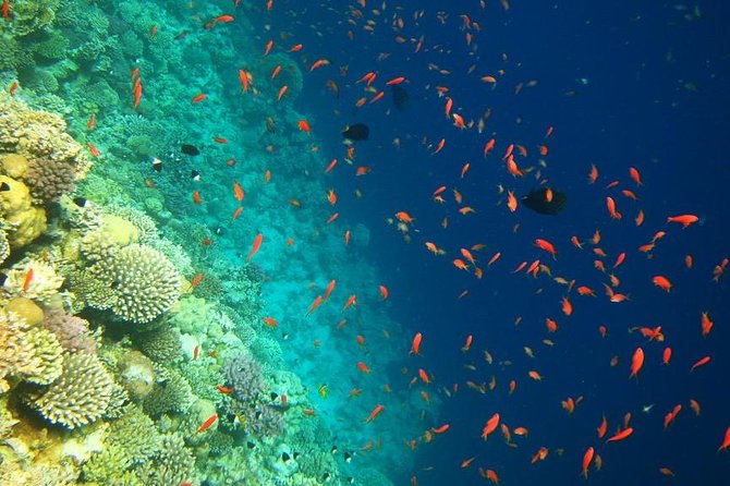 Blue Hole Snorkeling Tour With Lunch From Dahab - Refund Policy