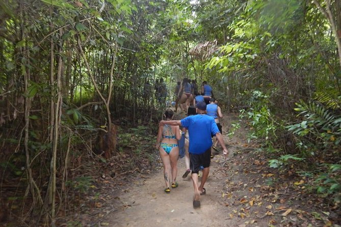 Blue Hole Waterfalls Tour From Falmouth - Tour Experience