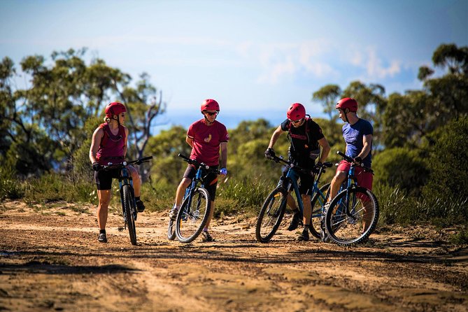 Blue Labyrinth PRIVATE Tour: Sydney Blue Mountains by E-Bike - Unparalleled Biking Experience