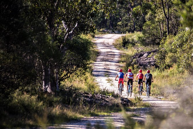 Blue Labyrinth PRIVATE Tour: Sydney Blue Mountains by E-Bike - Electric Mountain Bike Features