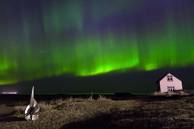 Blue Lagoon and Northern Lights Tour Including Admission - Recommendations
