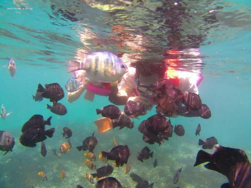 Blue Lagoon and Tanjung Jepun Snorkeling Tour - Pricing and Value
