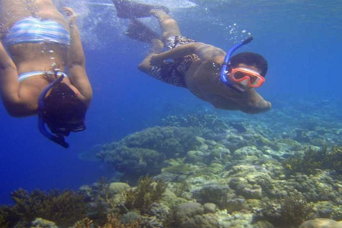 Blue Lagoon Bali Snorkeling Activities All Inclusive - Guided Snorkeling at Two Spots