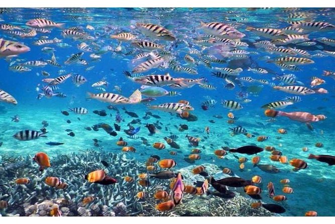 Blue Lagoon Bali Snorkeling Activities All Inclusive - Flexible Departure Times and Transfers