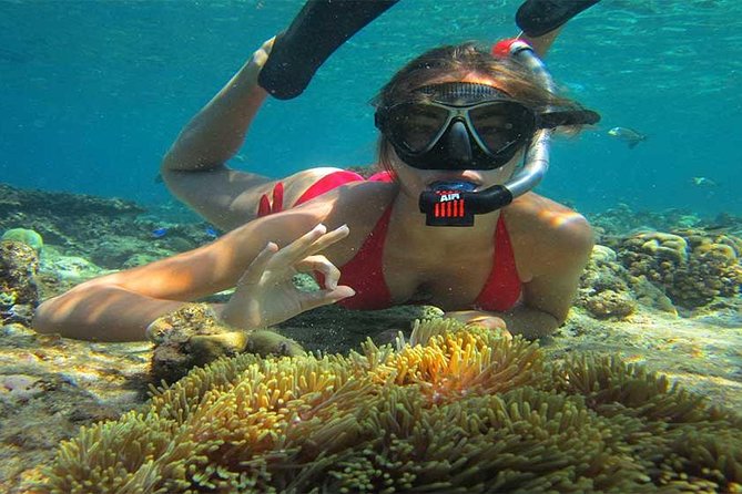 Blue Lagoon Bali Snorkeling Activities All Inclusive - Vibrant Coral and Unique Creatures