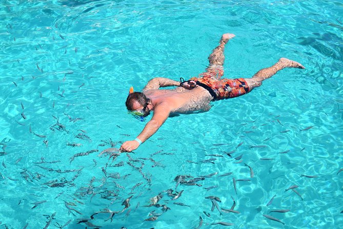 Blue Lagoon, Beaches and Bays Catamaran Sailing Tour - Inclusions