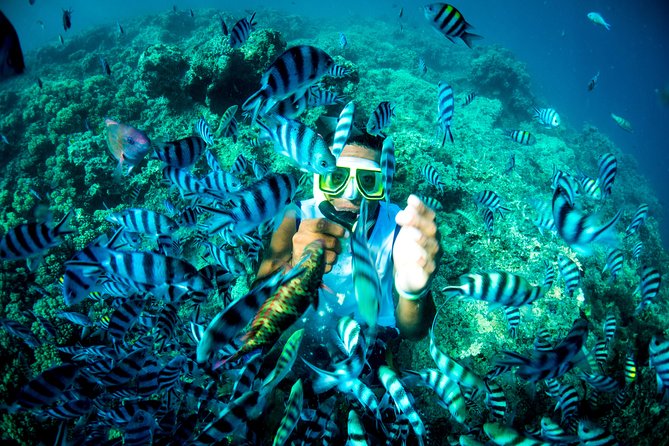 Blue Lagoon Cruises - Wanderer Cruise - 4 Night - Transportation and Meeting