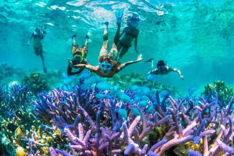 Blue Lagoon Snorkeling Adventure, Monkey Bar, Waterfall - Pickup and Drop-off Locations