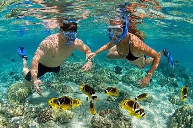 Blue Lagoon Snorkeling and Lunch - Kanto Lampo - Suwat Waterfall - All Inclusive - Lunch and Facilities