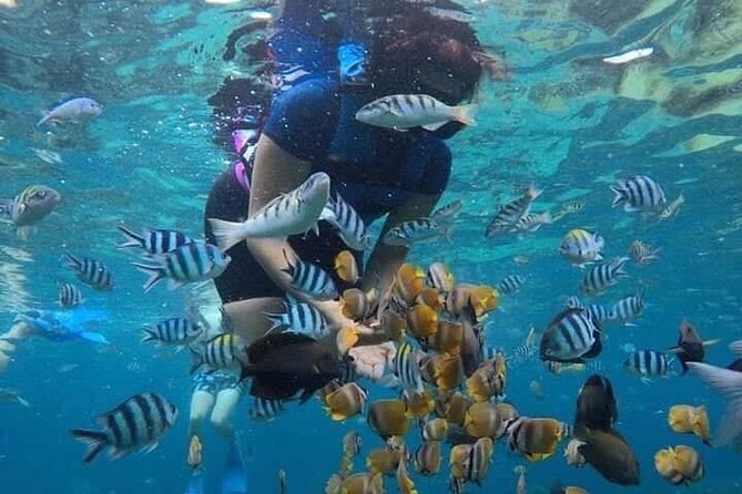 Blue Lagoon Snorkeling and Lunch - Kanto Lampo - Suwat Waterfall - All Inclusive - Pricing and Cancellation