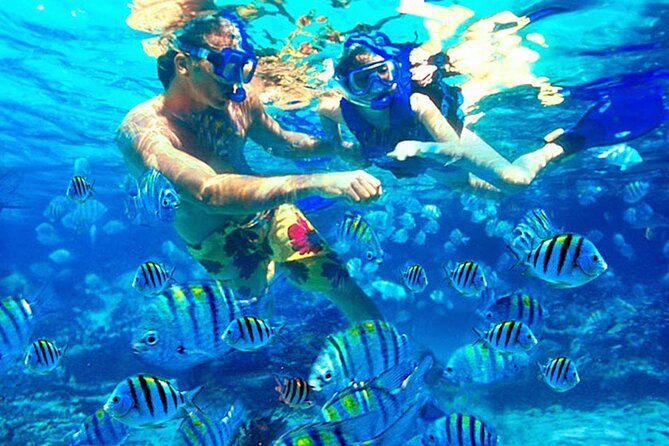 Blue Lagoon Snorkeling and Lunch - Ubud Monkey Forest - Waterfall - Visiting the Kanto Lampo Waterfall
