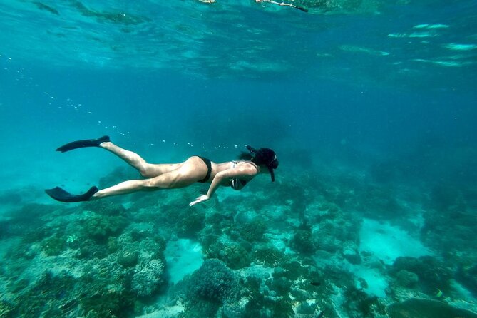 Blue Lagoon Snorkeling and Lunch - Ubud Monkey Forest - Waterfall - Booking and Cancellation Policies