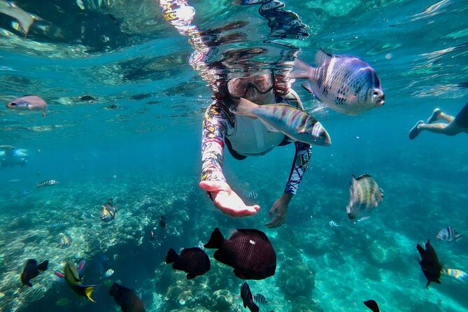 Blue Lagoon Snorkeling and Lunch With Tukad Cepung Waterfall - Snorkeling Spots and Duration