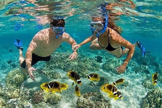 Blue Lagoon Snorkeling and Lunch With Visit Tegenungn Waterfall in Ubud - Health and Safety