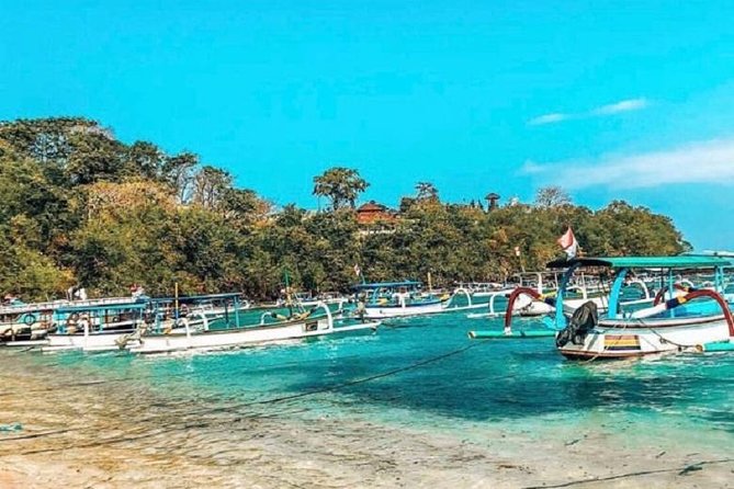 Blue Lagoon Snorkeling and Lunch With Visit Tegenungn Waterfall in Ubud - Snorkeling Experience