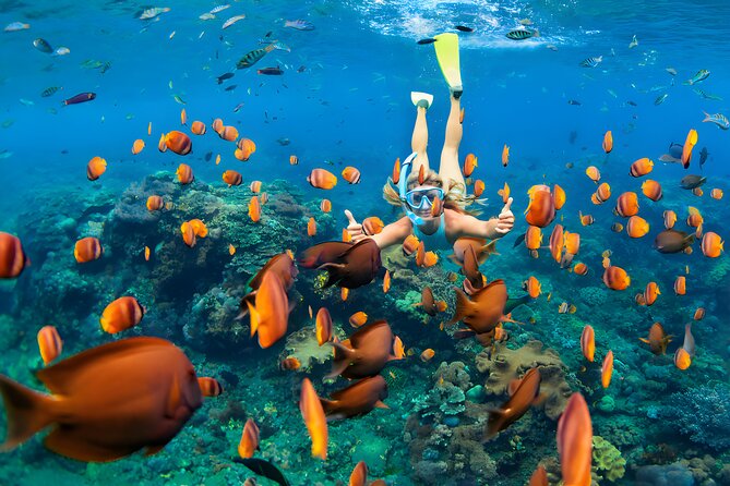 Blue Lagoon Snorkeling and Uluwatu Sunset Tour - Snorkeling at Blue Lagoon