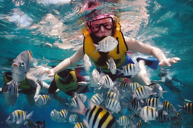 Blue Lagoon Snorkeling - Bali Best Snorkeling Site - Meals and Facilities