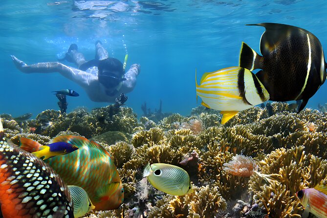Blue Lagoon Snorkeling - Bali Best Snorkeling Site - Frequently Asked Questions