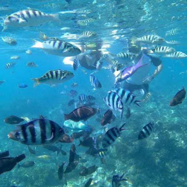 Blue Lagoon Snorkeling & Candidasa Hidden Activities - What to Expect