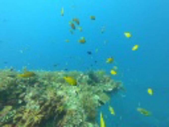Blue Lagoon Snorkeling & Candidasa Hidden Activities - Additional Information