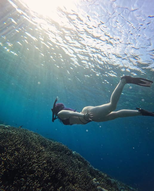 Blue Lagoon Snorkeling Combination With Swing and Terrace - Key Points