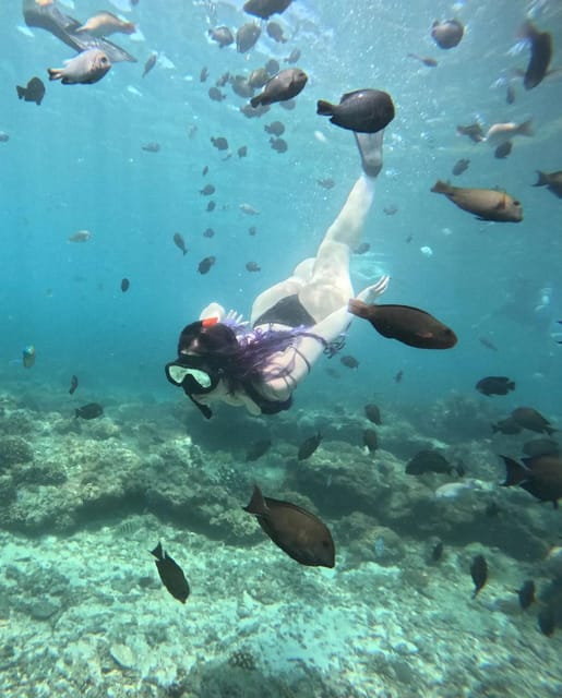 Blue Lagoon Snorkeling Combination With Swing and Terrace - Activity Details
