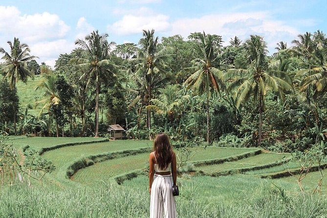 Blue Lagoon Snorkeling - Jungle Swing - Ubud - All Inclusive - Guests Considerations