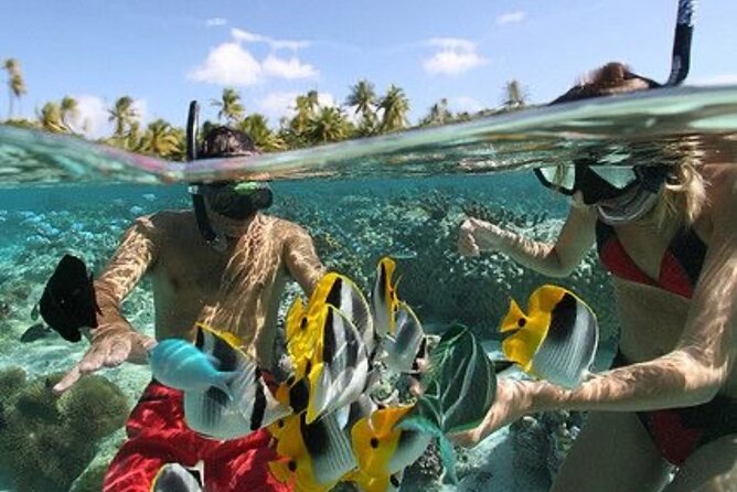 Blue Lagoon Snorkeling - Lunch - Kantolampo - Tibumana Waterfall - Tibumana Waterfall Visit