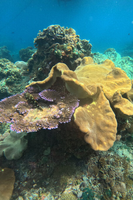 Blue Lagoon Snorkeling & Quad Bike Natural Track Adventure - Suitability and Restrictions
