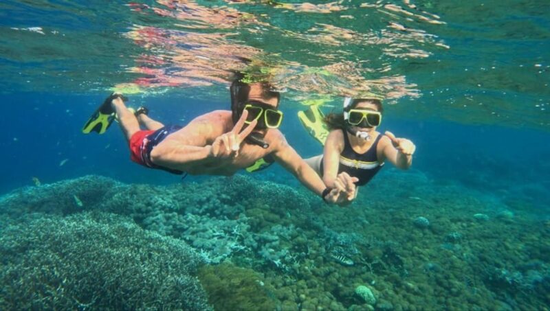 Blue Lagoon Snorkeling Tour Private Sundeck Boat - Customer Reviews