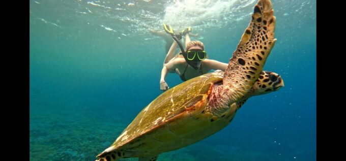 Blue Lagoon Snorkeling Tour Private Sundeck Boat - Why Choose This Tour?