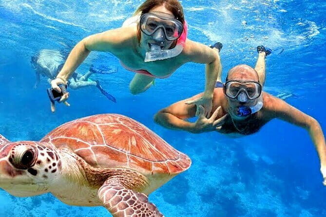 Blue Lagoon Snorkeling with Lunch and Private Transport - Why Choose This Tour?