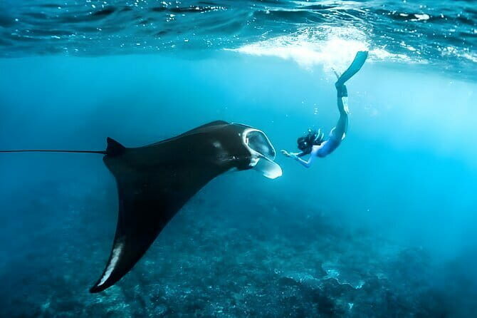 Blue Lagoon Snorkeling with Lunch and Private Transport - The Sum Up