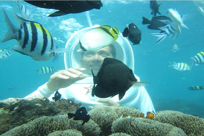 Blue Lagoon Snorkeling With Lunch and Private Transport - Key Points
