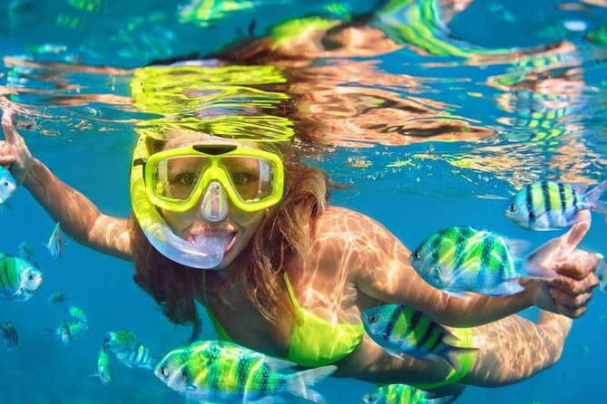 Blue Lagoon Snorkeling With Lunch and Private Transport - Inclusions