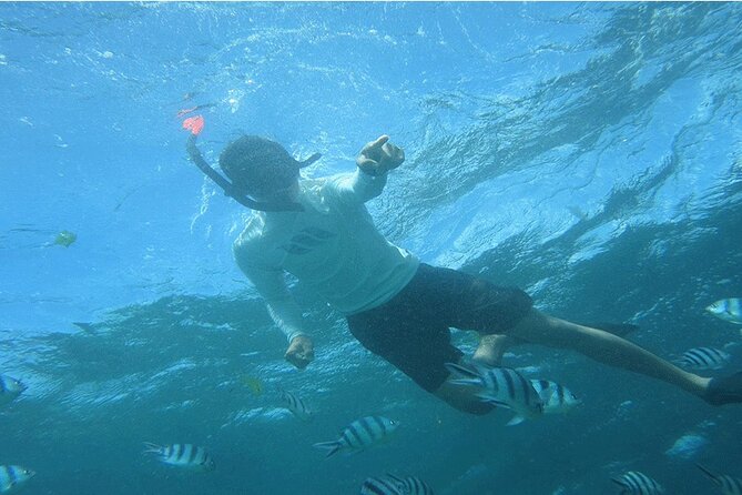 Blue Lagoon Snorkeling With Lunch and Private Transport - Meeting and Pickup