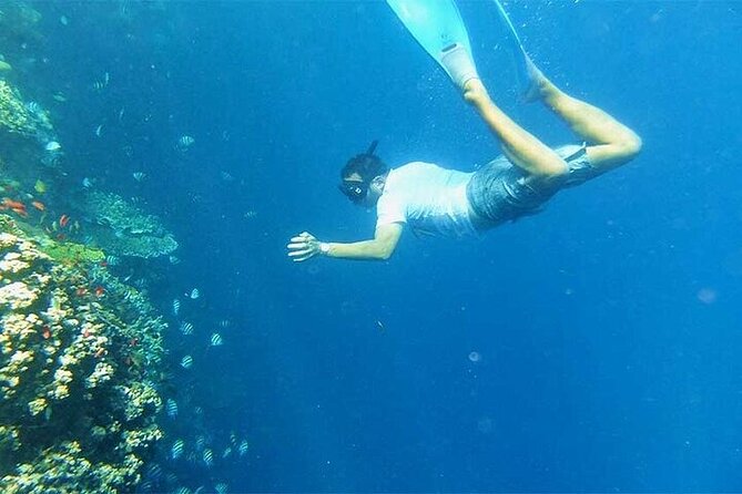 Blue Lagoon Snorkeling With Lunch and Private Transport - Pricing and Cancellation
