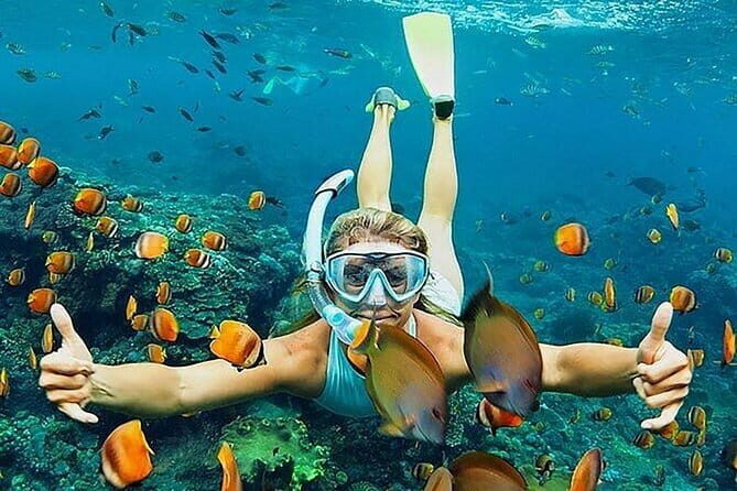 Blue Lagoon Snorkeling with Lunch and Waterfall in Ubud - Key Points