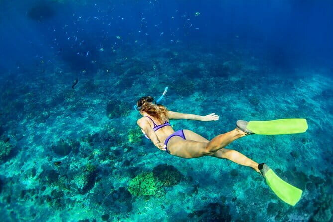 Blue Lagoon Snorkeling with Lunch and Waterfall in Ubud - The Sum Up